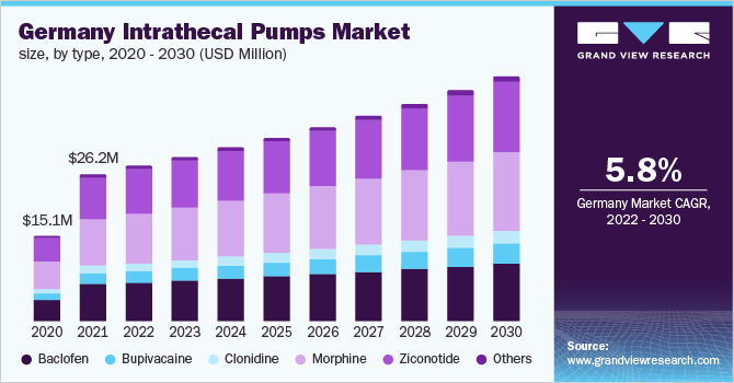 德国鞘内泵市场规模,类型,2020 - 2030(百万美元)