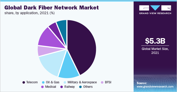 全球暗光纤网络市场份额，各应用，2021年(%)