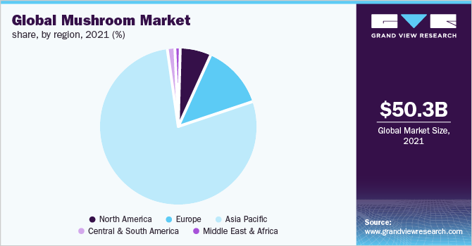 2020年全球蘑菇市场份额(%)