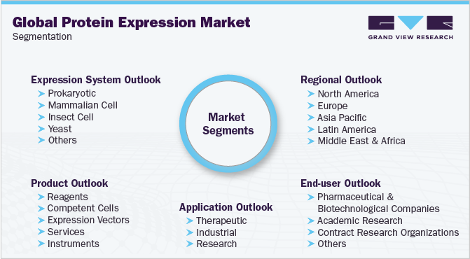 全球蛋白表达市场细分