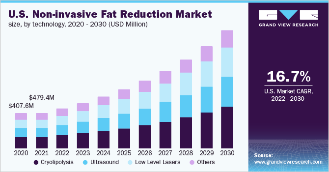 2020 - 2030年，美国非侵入式减脂技术市场规模(百万美元)