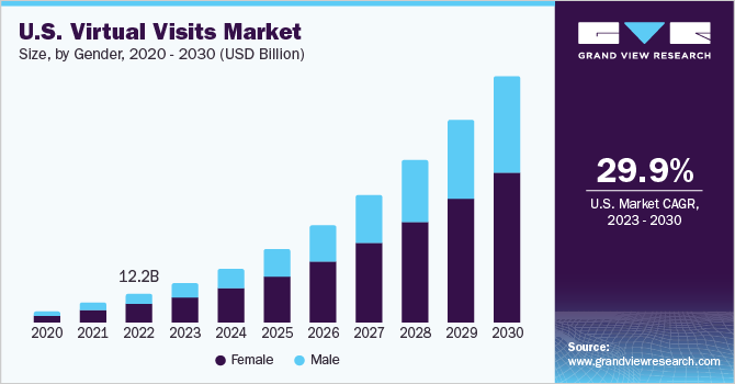 美国虚拟访问市场规模,服务类型,2020 - 2030 (Sillion美元)